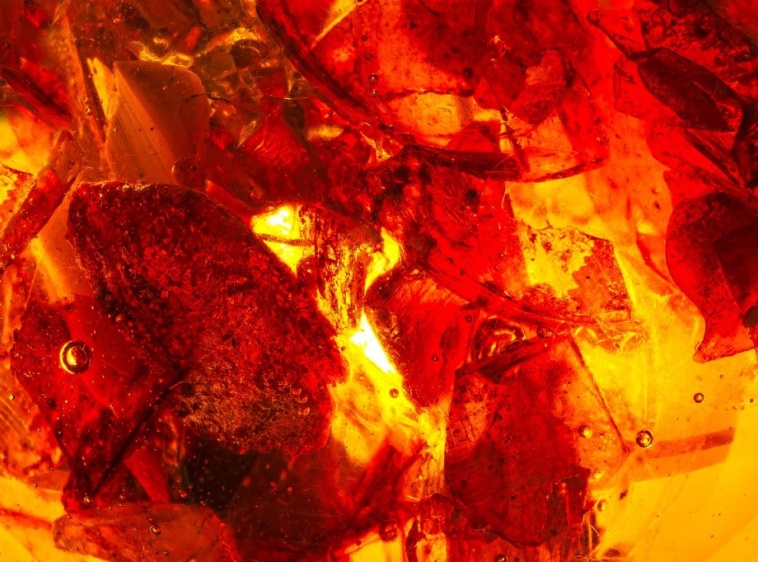 Akademia Bursztynu - warsztaty w Krynicy Morskiej