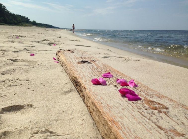 Dom Wypoczynkowy Rondo  ?v=1.0.1