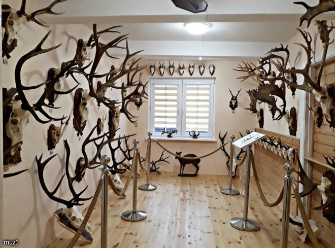 Muzeum Przyrodniczo-Myśliwskie  
