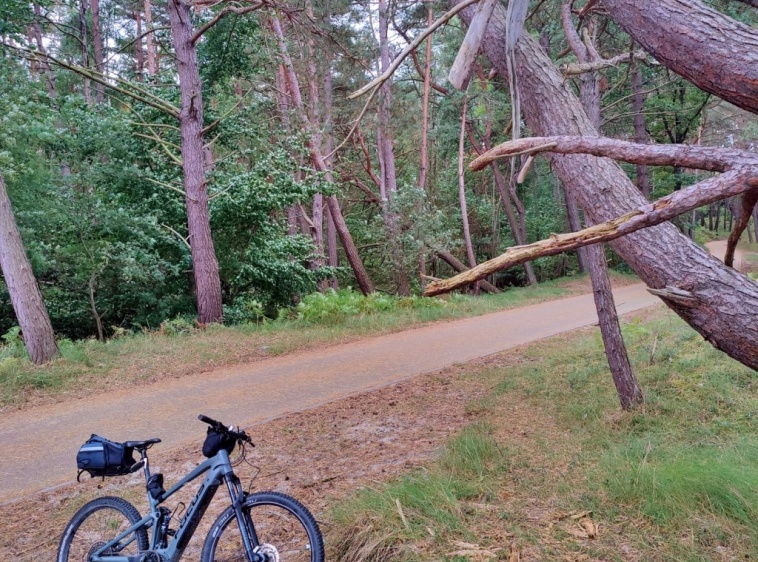 Wypożyczalnia rower&oacute;w elektrycznych  przy White Resort