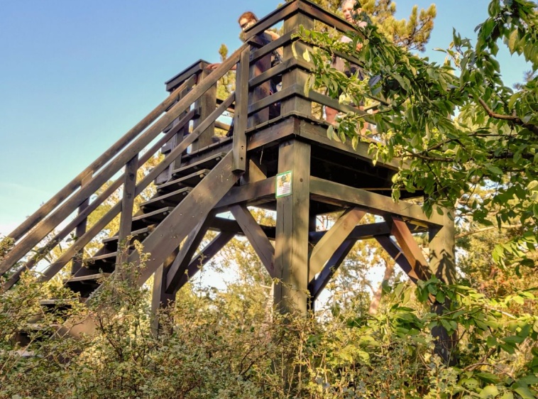 Wydma Wielbłądzi Garb