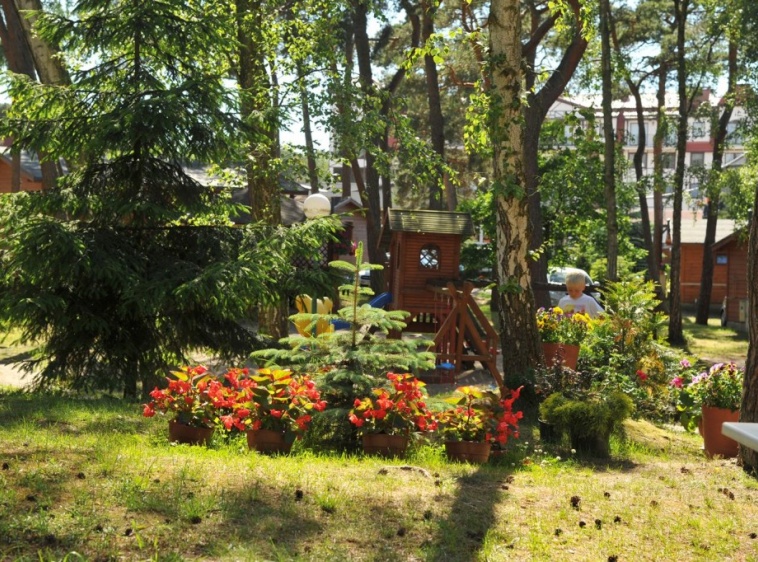 Ośrodek Turystyczno Wypoczynkowy Służba Dziecku  ?v=1.0.1