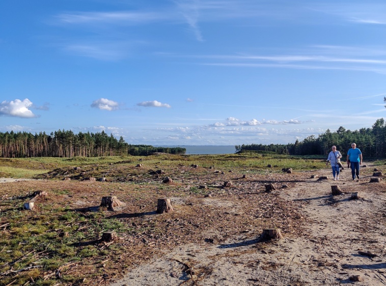 Przekop Mierzei Wiślanej