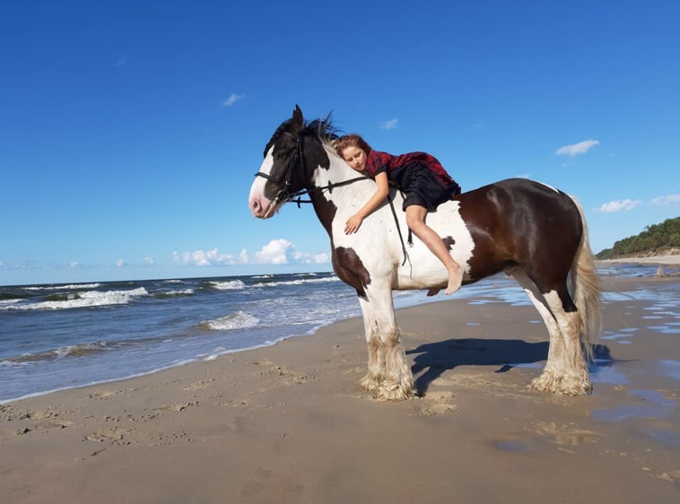 Ośrodek Jazdy Konnej Mierzeja