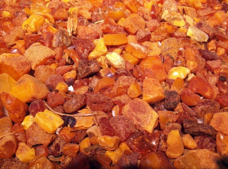 Akademia Bursztynu - warsztaty w Krynicy Morskiej 