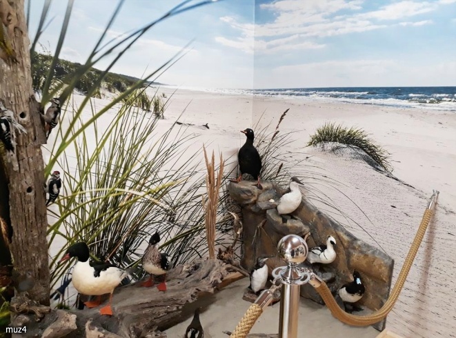 Muzeum Przyrodniczo-Myśliwskie 