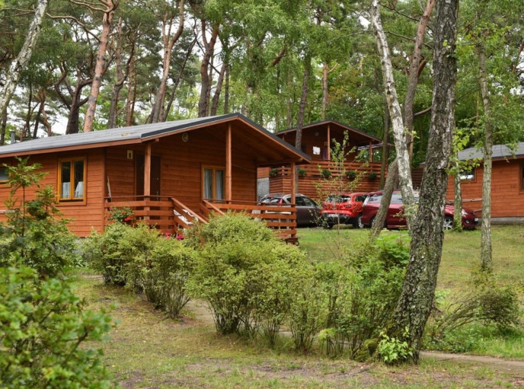 Ośrodek Turystyczno Wypoczynkowy Służba Dziecku  ?v=1.0.1