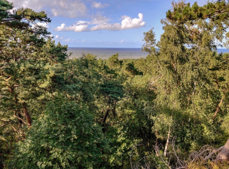 Wydma Wielbłądzi Garb 